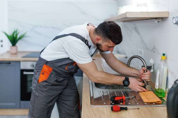 Best Plumbing Services Near Me  in Aurora, SD