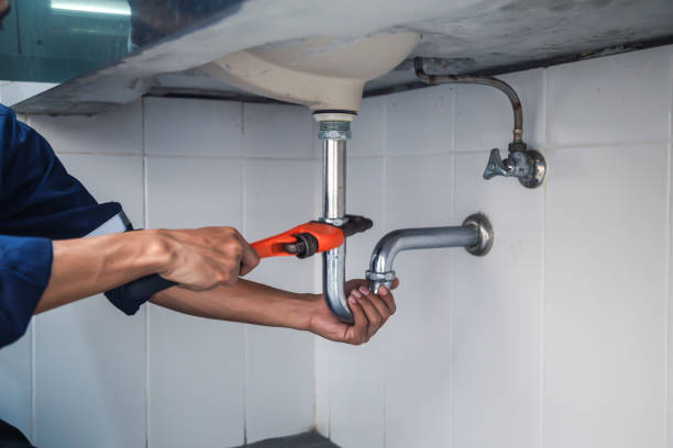 Best Local Plumber Services  in Aurora, SD